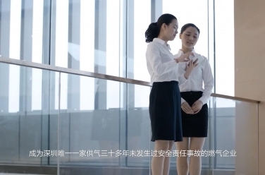 服務(wù)類--燕鵬燃氣